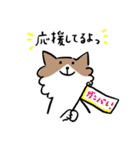 チワワなさくら（個別スタンプ：23）