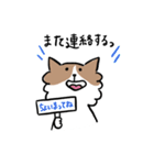 チワワなさくら（個別スタンプ：33）
