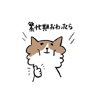 チワワなさくら（個別スタンプ：34）