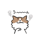 チワワなさくら（個別スタンプ：35）