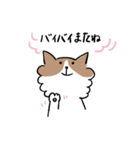チワワなさくら（個別スタンプ：37）