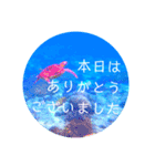 sea world3♡[日本語敬語]（個別スタンプ：1）