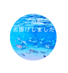 sea world3♡[日本語敬語]（個別スタンプ：12）