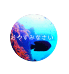 sea world3♡[日本語敬語]（個別スタンプ：14）