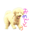 くつした好きのシェイクくん（個別スタンプ：13）