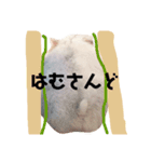 はむすたんぷ。coco ver.（個別スタンプ：16）