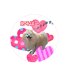 ショウ♡ナッチ（個別スタンプ：1）