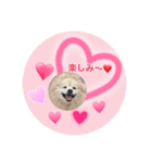 ショウ♡ナッチ（個別スタンプ：2）
