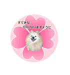 ショウ♡ナッチ（個別スタンプ：3）
