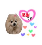 ショウ♡ナッチ（個別スタンプ：4）