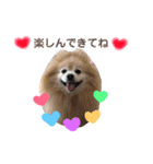 ショウ♡ナッチ（個別スタンプ：5）