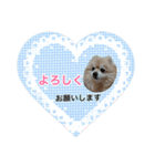 ショウ♡ナッチ（個別スタンプ：6）