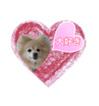 ショウ♡ナッチ（個別スタンプ：9）