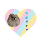 ショウ♡ナッチ（個別スタンプ：11）