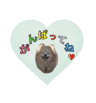 ショウ♡ナッチ（個別スタンプ：12）