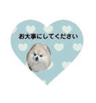 ショウ♡ナッチ（個別スタンプ：13）