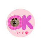 ショウ♡ナッチ（個別スタンプ：14）