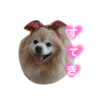 ショウ♡ナッチ（個別スタンプ：15）