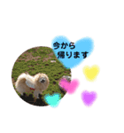 ショウ♡ナッチ（個別スタンプ：17）