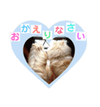 ショウ♡ナッチ（個別スタンプ：20）