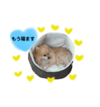ショウ♡ナッチ（個別スタンプ：23）