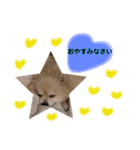 ショウ♡ナッチ（個別スタンプ：24）
