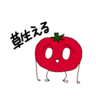 トマトさんスタンプ（個別スタンプ：2）