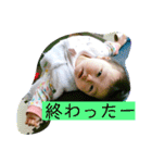 ねこむすたんぷ3（個別スタンプ：40）