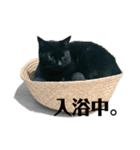 ジジのすけ＆グレぞう（個別スタンプ：16）