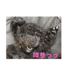 毎日クッキー（個別スタンプ：2）