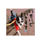 京＆ルナスタンプ vol.2（個別スタンプ：2）