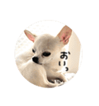 京＆ルナスタンプ vol.2（個別スタンプ：6）