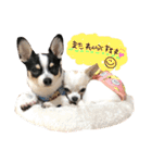 京＆ルナスタンプ vol.2（個別スタンプ：24）