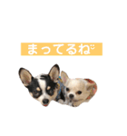 京＆ルナスタンプ vol.2（個別スタンプ：29）