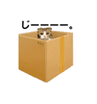 つくねスタンプだよPart1（個別スタンプ：3）