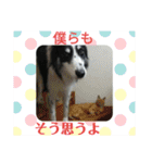 サンタのつぶやき（個別スタンプ：2）