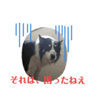サンタのつぶやき（個別スタンプ：6）