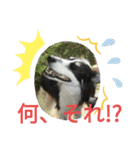 サンタのつぶやき（個別スタンプ：7）