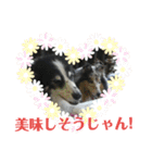 サンタのつぶやき（個別スタンプ：20）