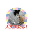 サンタのつぶやき（個別スタンプ：22）