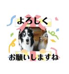 サンタのつぶやき（個別スタンプ：23）