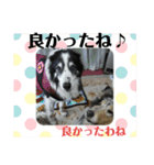 サンタのつぶやき（個別スタンプ：27）