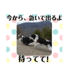 サンタのつぶやき（個別スタンプ：32）