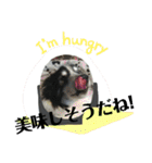 サンタのつぶやき（個別スタンプ：33）