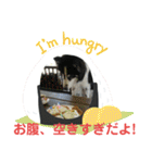 サンタのつぶやき（個別スタンプ：40）