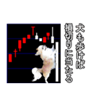 ロングコートチワワの投資＆相場スタンプ3（個別スタンプ：2）