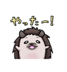 ハリネズミ マリの日常スタンプ（個別スタンプ：11）