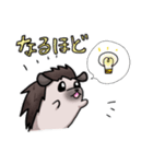 ハリネズミ マリの日常スタンプ（個別スタンプ：25）