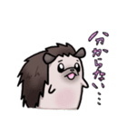 ハリネズミ マリの日常スタンプ（個別スタンプ：34）