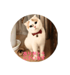 プップの可愛いスタンプです（個別スタンプ：5）